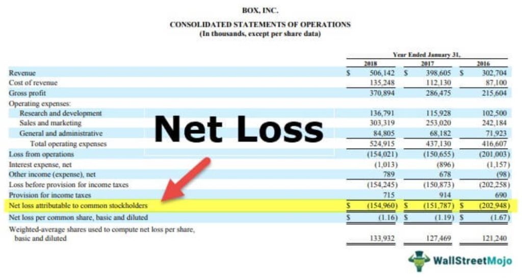 Net Loss Consolidated Statement
