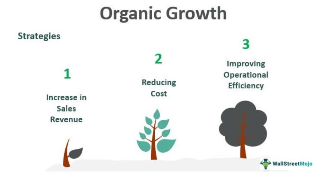 Organic Growth Strategies