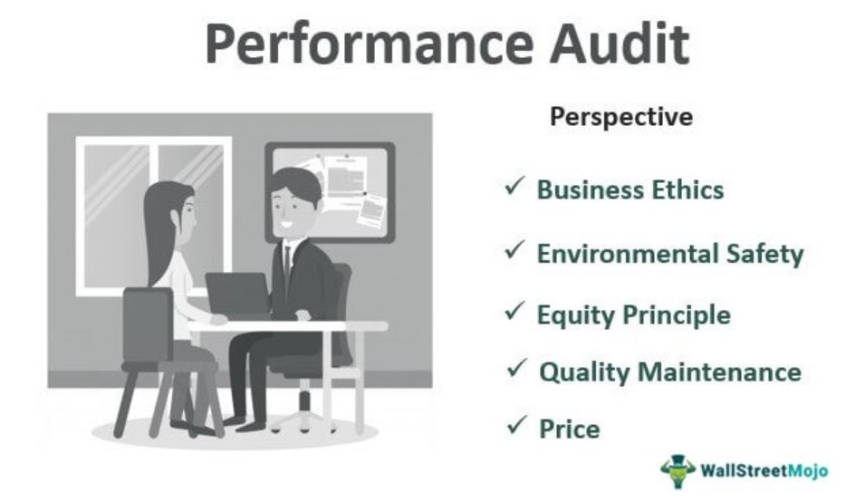 Perspective of Performance Audit