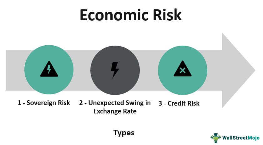 Economic Risk Types