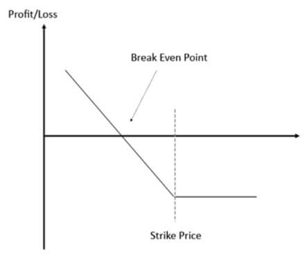 long put graph above
