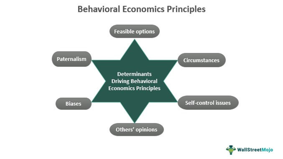 Behavioral Economics Principles