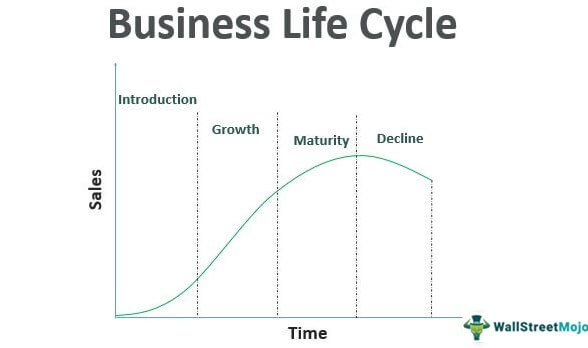 Business Life Cycle Graph