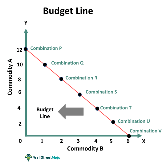 budget line graph