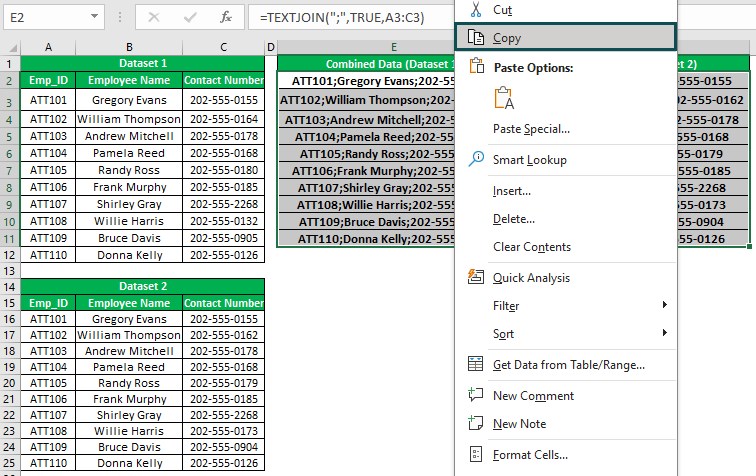 Go to Special Excel - Example 1 - Step 3 - Copy