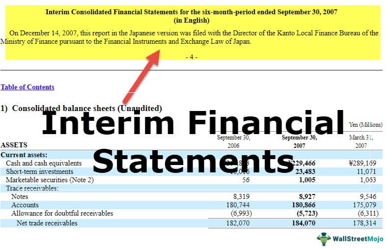 Interim Financial Statements