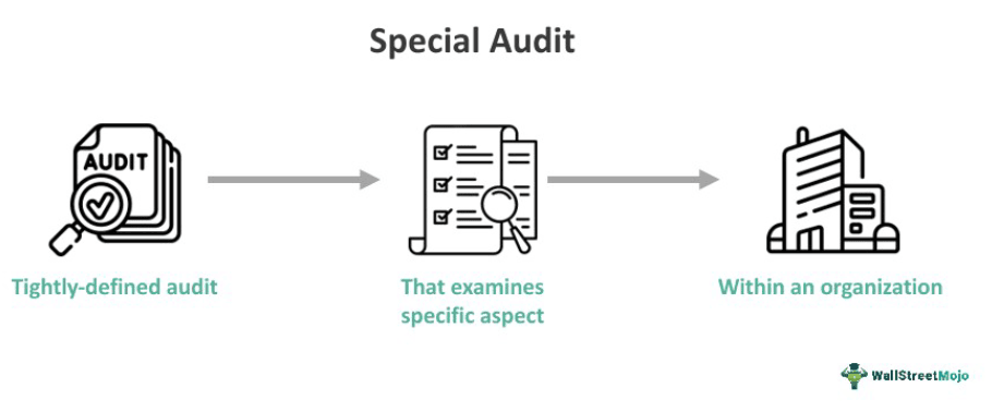 Special Audit