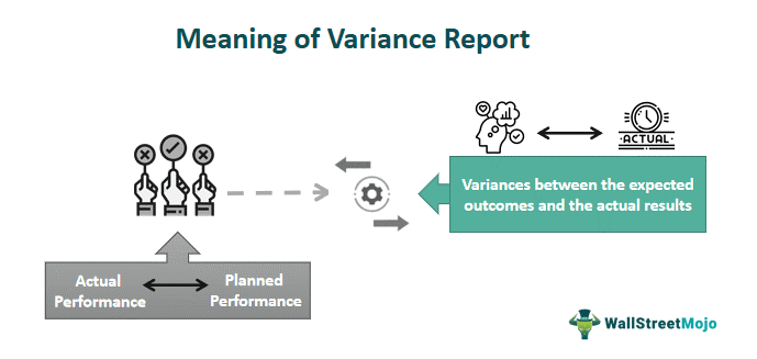Variance Report