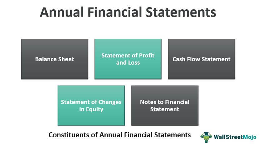 Annual Financial Statement Components