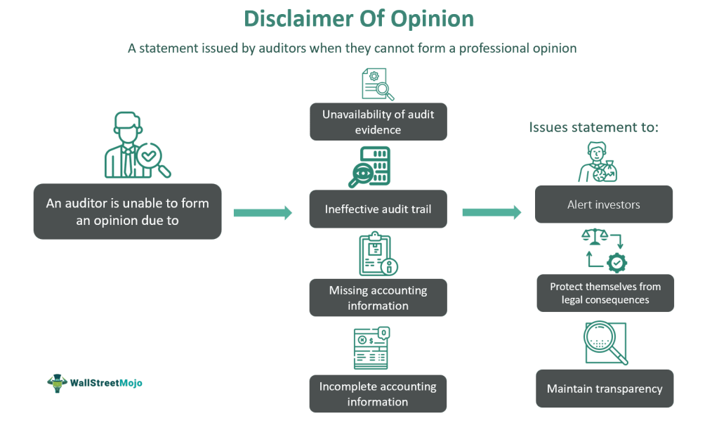 Disclaimer Of Opinion