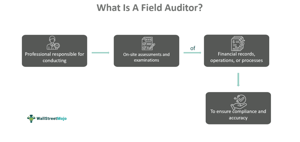 Field Auditor