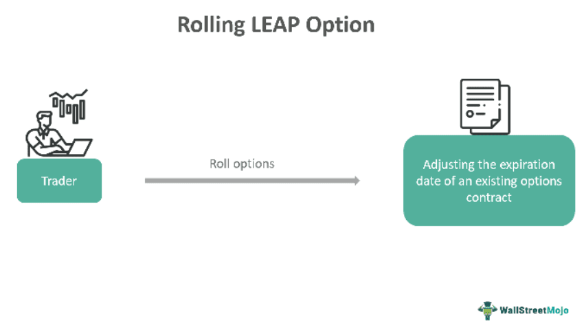 Rolling Leap Options