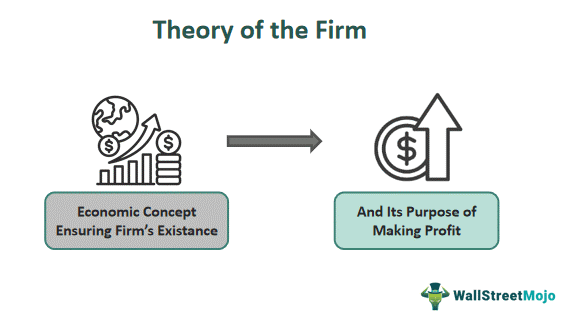 Theory Of The Firm
