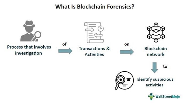 Blockchain Forensics