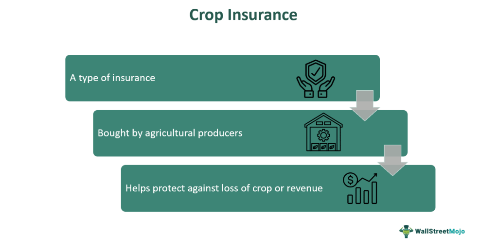 Crop Insurance