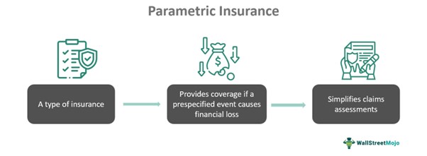 Parametric Insurance
