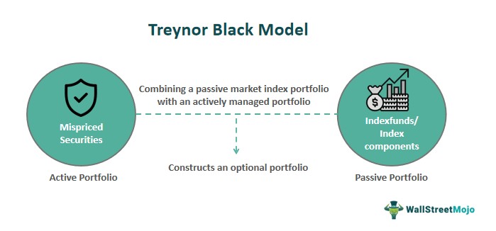 Treynor-Black Model