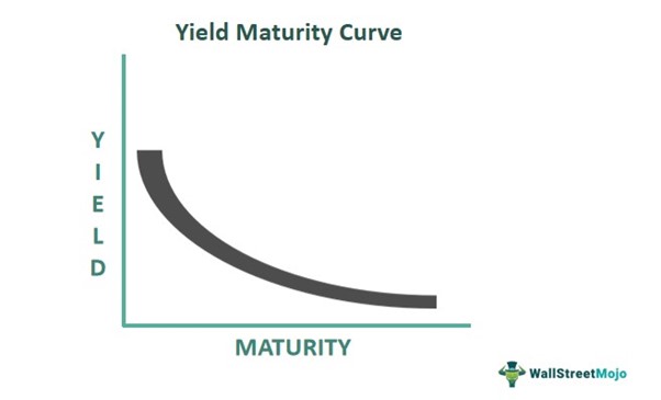 yield maturity curve