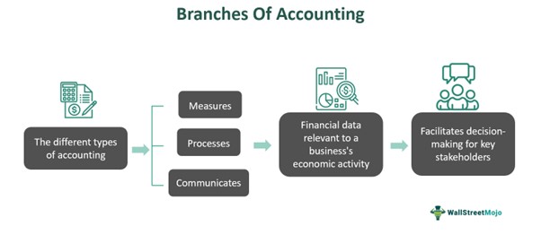 Branches Of Accounting