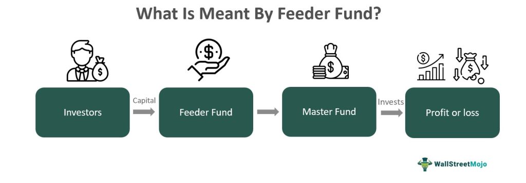 Feeder Fund
