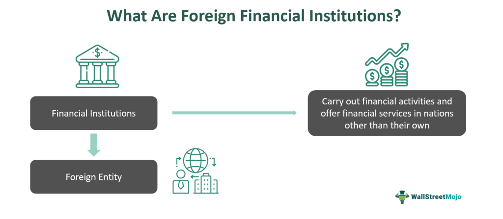What-Are-Foreign-Financial-Institutions