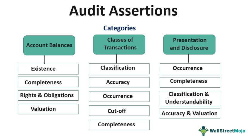 Audit Assertions