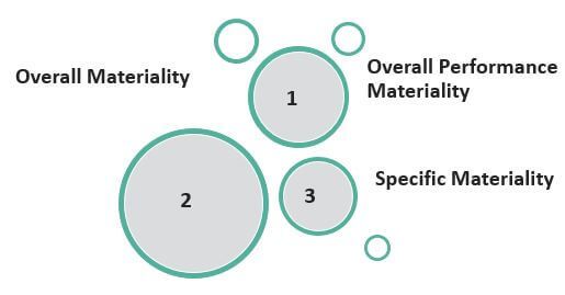 Audit Materiality
