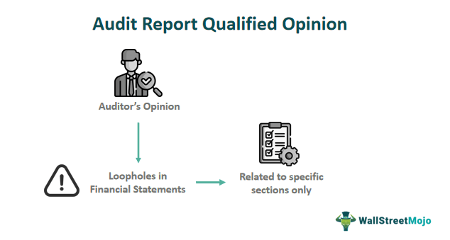 Audit Report Qualified Opinion