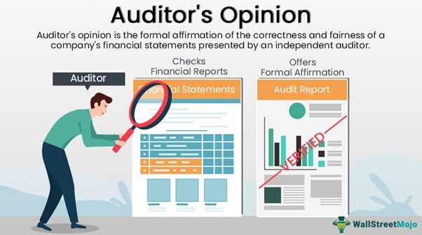 Auditor's Opinion