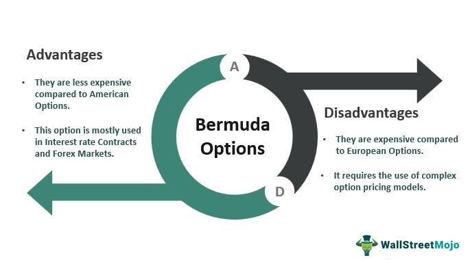 Bermuda Options