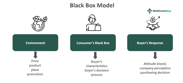 Black Box Model
