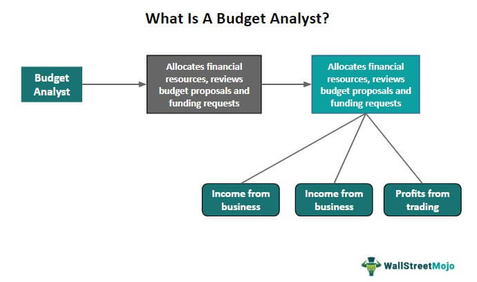 Budget Analyst