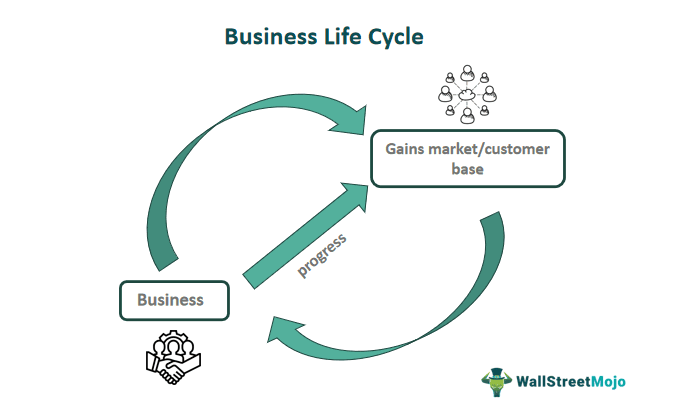 Business Life Cycle
