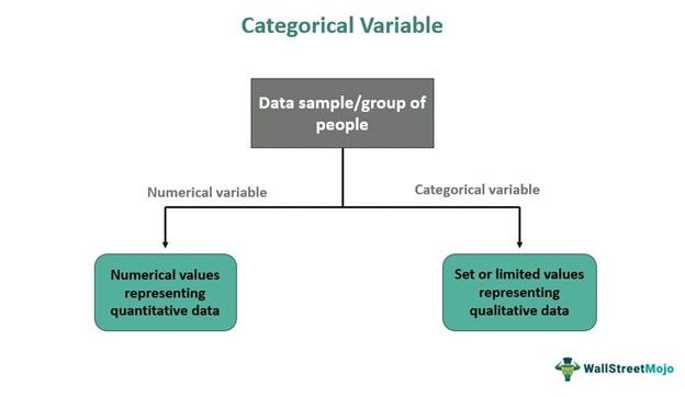 Categorical Variable