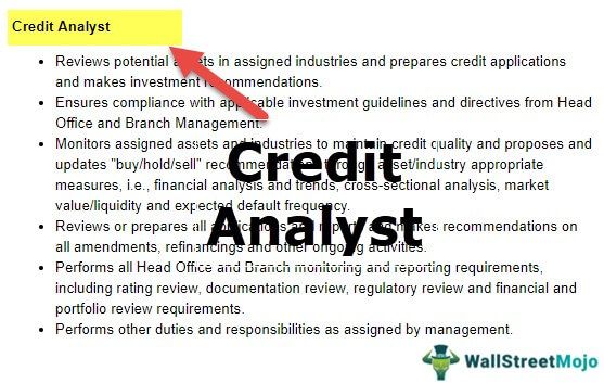 Credit Analyst Career