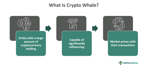 Crypto Whale