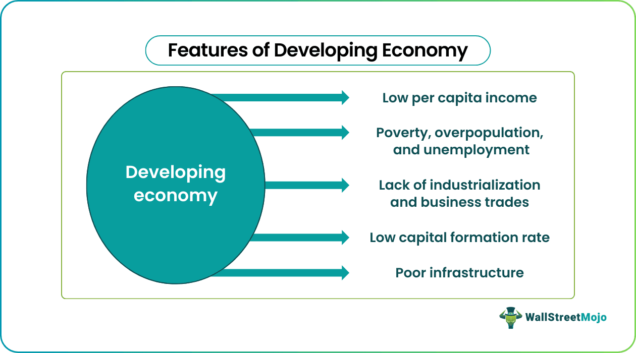 Developing Economy