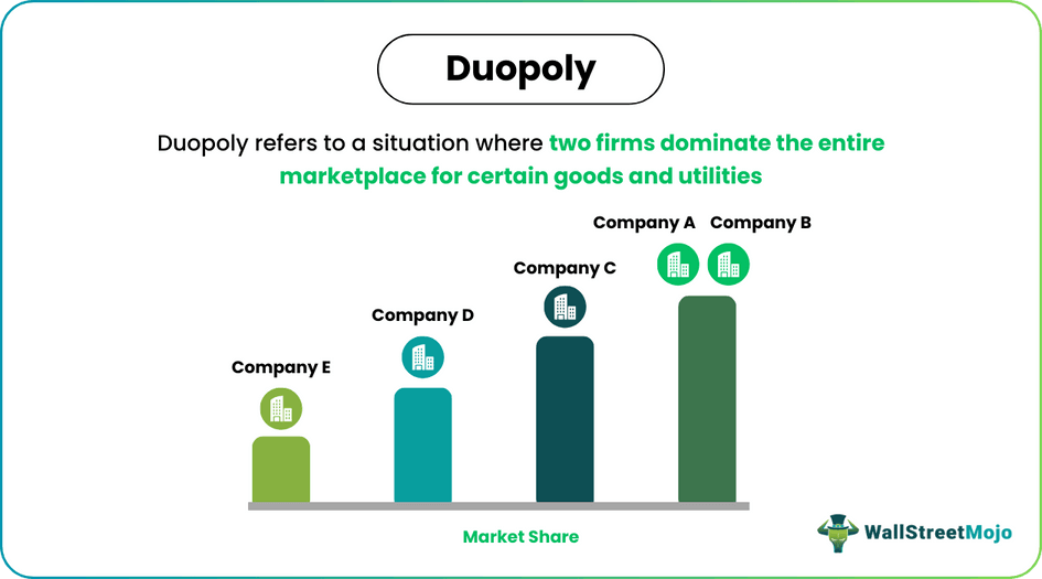Duopoly
