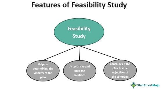 Feasibility Study