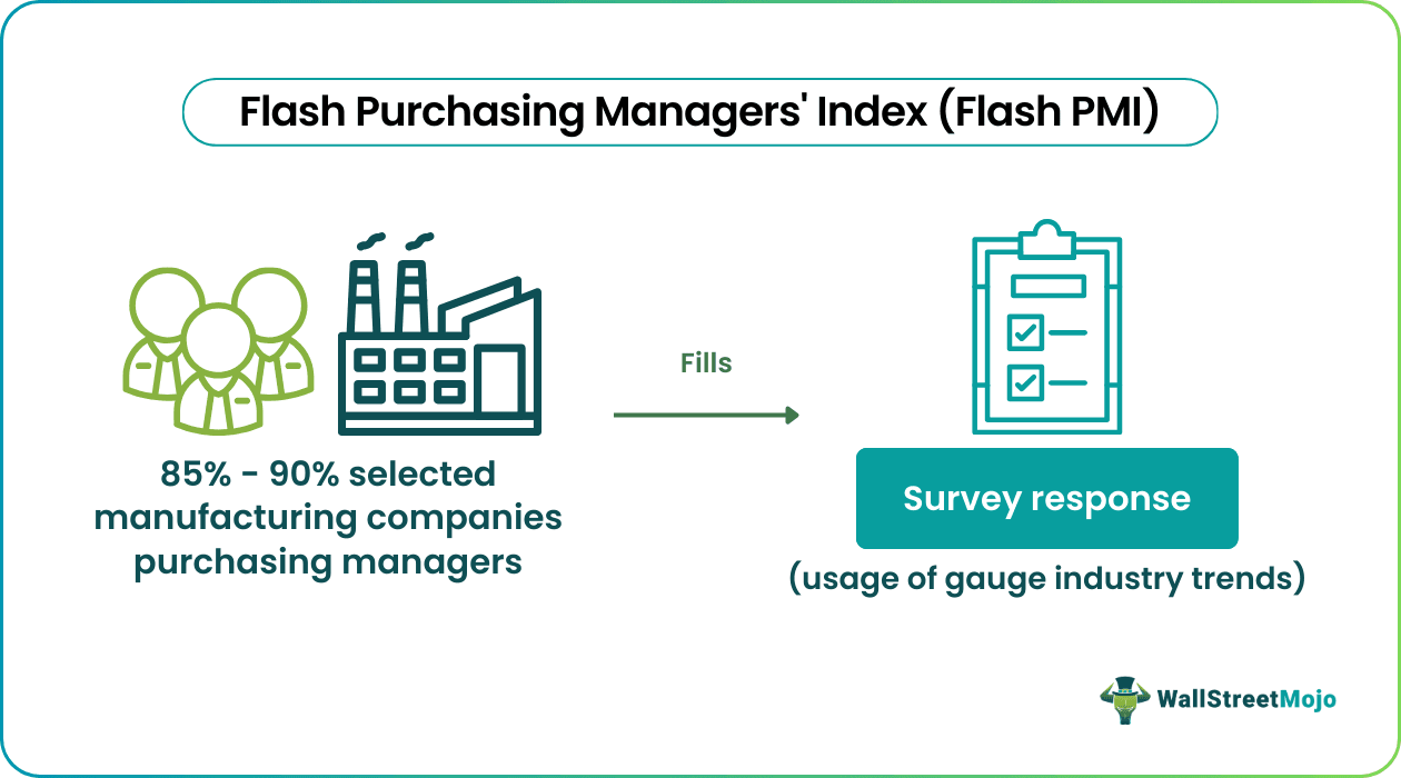Flash Purchasing Managers' Index