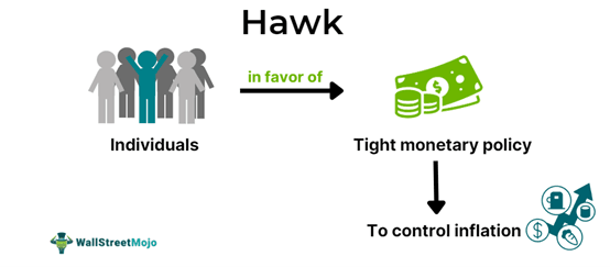 Hawk