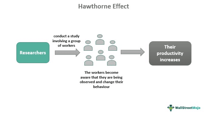 Hawthorne Effect