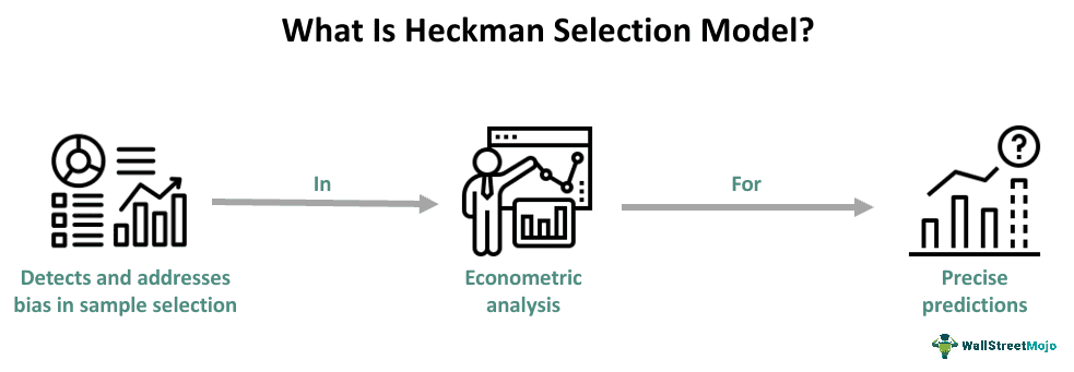Heckman Selection Model