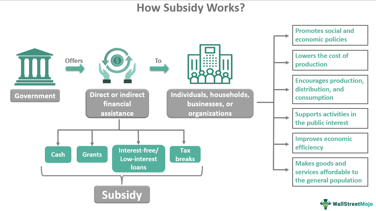 Subsidy