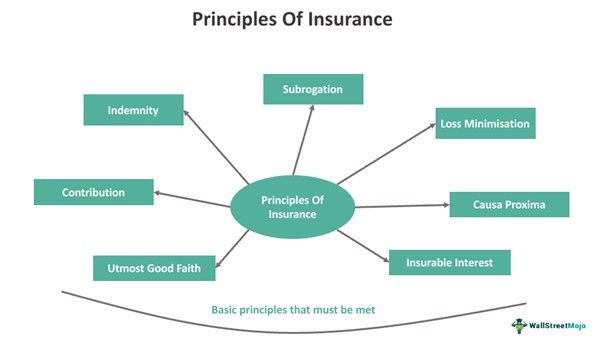 Insurance Principles
