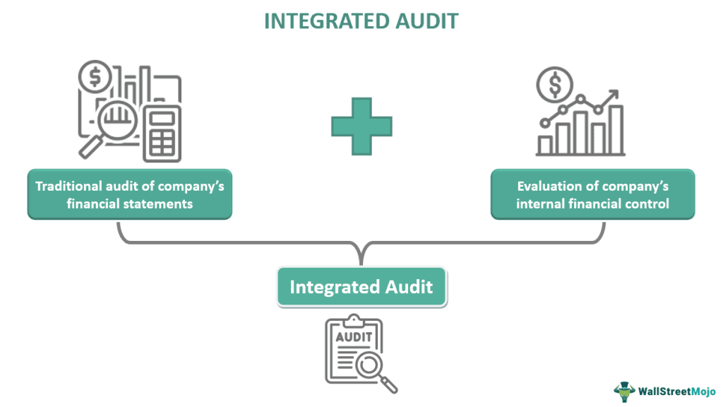 Integrated Audit