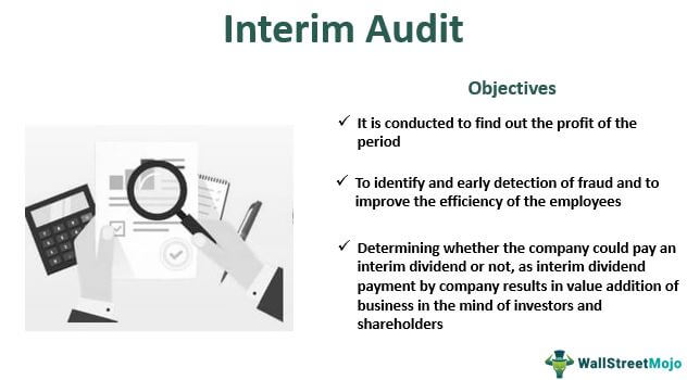 Interim Audit