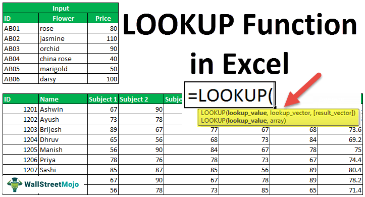 LOOKUP Excel Function
