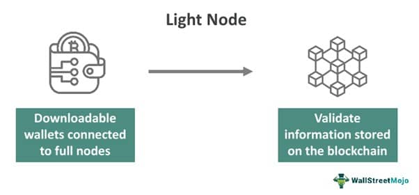 Light Node