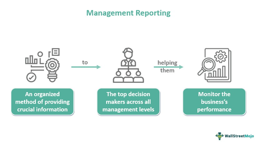 Management Reporting